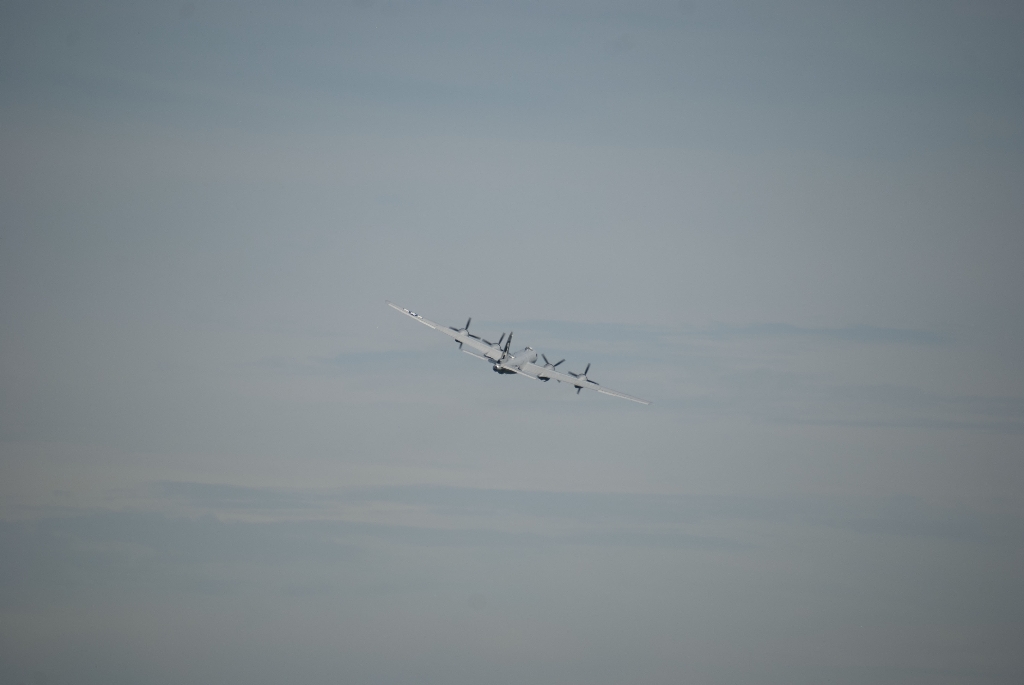 DSC_3520.jpg